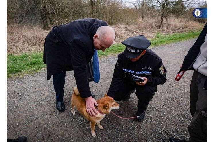 akce Kostička Skvrňany_0425_MPP (9)