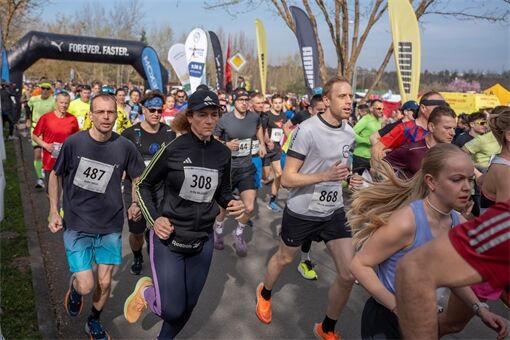 Plzeňský půlmaraton Qap (32)