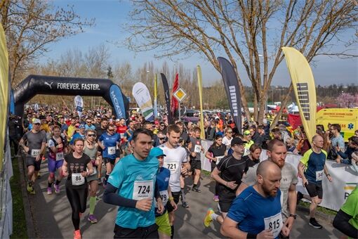 Plzeňský půlmaraton Qap (33)