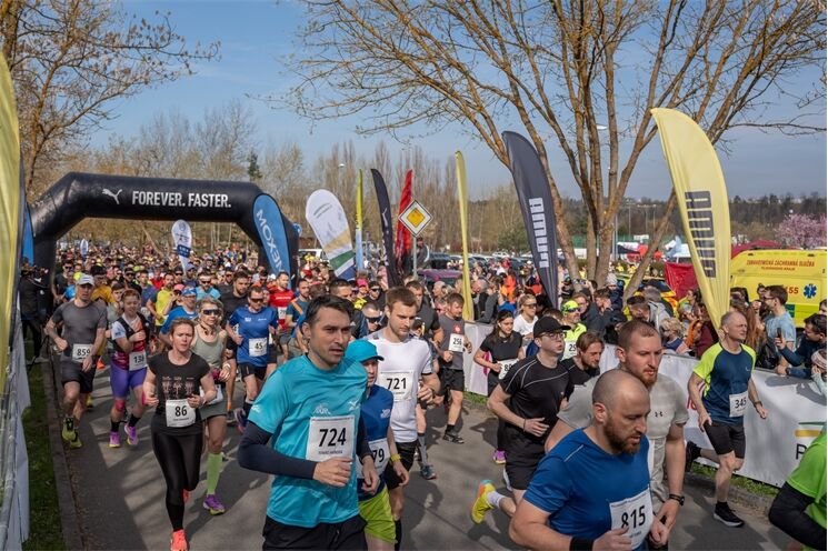 Plzeňský půlmaraton Qap (33)