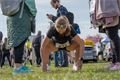 Plzeňský půlmaraton Qap (13)