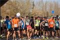 Plzeňský půlmaraton Qap (28)
