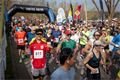 Plzeňský půlmaraton Qap (35)