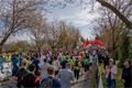 Plzeňský půlmaraton Qap (36)