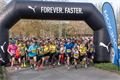 Plzeňský půlmaraton Qap (43)