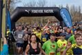 Plzeňský půlmaraton Qap (45)