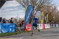 Plzeňský půlmaraton Qap (60)