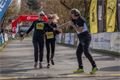 Plzeňský půlmaraton Qap (78)
