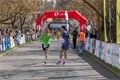 Plzeňský půlmaraton Qap (95)