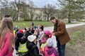 sázení stromu náměstí Míru_0425_MO3 (1)