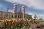 Tulipány zaplavily Plzeň_M. Svoboda (3)