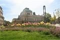 Tulipány zaplavily Plzeň_M. Svoboda (1)