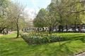 Tulipány zaplavily Plzeň_M. Svoboda (6)