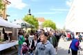 IMG_1154