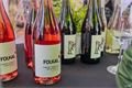 Plzeňský festival vína QAP (6)
