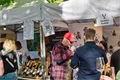 Plzeňský festival vína QAP (8)