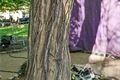 Plzeňský festival vína QAP (12)