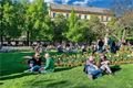 Plzeňský festival vína QAP (23)