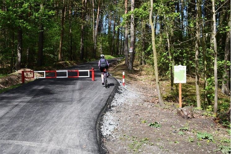 Plzeň opravuje lesní cesty_0525_MMP (1)