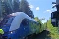 Strom spadl na projíždějící vlak na Klatovsku_0525_HZSPK (2)