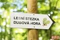 Dubová Hora Litice QAP (6)