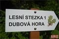 Dubová Hora Litice QAP (17)