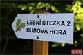 Dubová Hora Litice QAP (24)