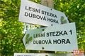 Dubová Hora Litice QAP (11)