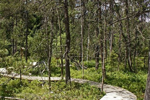 PR_Podkovak_SS (1) PR_Podkovak_SS (1)