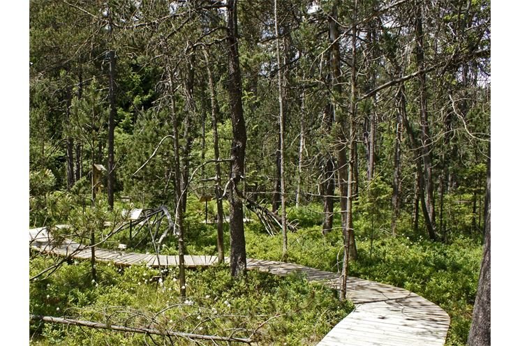 PR_Podkovak_SS (1)