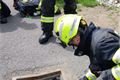Záchrana kachňat v Roupově_0525_HZSPK (5)