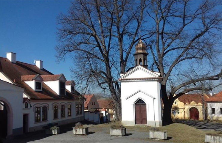 Černice