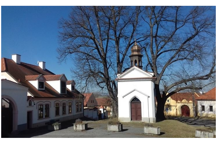 Černice