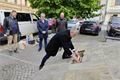 Památník obětem nacismu v Domažlicích_0525_město Domažlice (1)