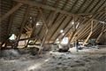 Čtyři studentky se zaměřily na renovaci střechy seníku nad pivovarskými sklepy z 19. stol