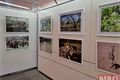 Afrika_mázhauz radnice_0525_QAP (2)