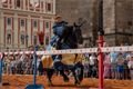 Historicke slavnosti QAP (6)