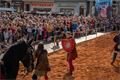 Historicke slavnosti QAP (13)