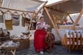 Historicke slavnosti QAP (39)
