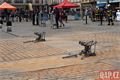 11. ročník soutěže TFA_0625_QAP (11)