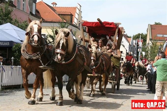 Skoleni draka Furth im Wald (13)