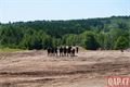 Bahna 2025_0625_QAP (39)