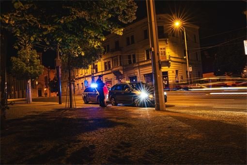 kontrola veřejného pořádku Plzeň_0625_PČR (4)