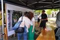 diskuse o proměně náměstí Míru_0625_QAP (7)