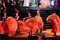 Noc s operou_Veselá vdova_Milan Svoboda (37)