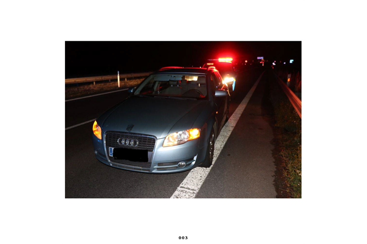 divoká honička Audi D5_0725_PČR (2) divoká honička Audi D5_0725_PČR (2)