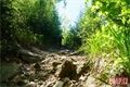 Falkenstein _vylet QAP (4)