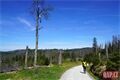Falkenstein _vylet QAP (33)