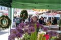 2023-03-07-wochenmarkt4