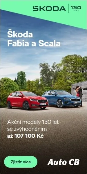 Š130-300x600@fabia-scala